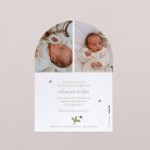 Deux petits lapins