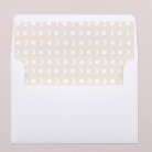 Intérieur d'enveloppe