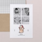 Petit ours brun