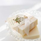 Fleur de sureau