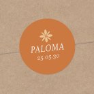 Photomaton-terracotta