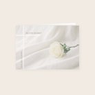 Rose blanche