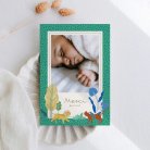 Baby Kiwi