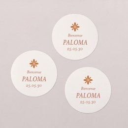 Photomaton-terracota