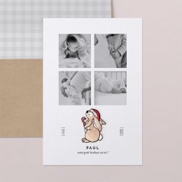 Petit ours brun