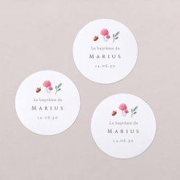 Marius