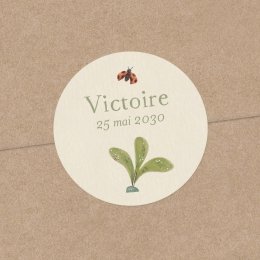 Fleur de sureau