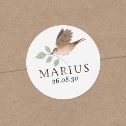 Gazouillis champêtre