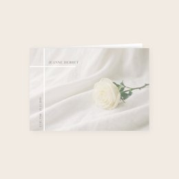 Rose blanche