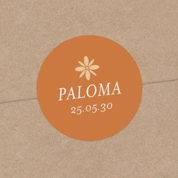 Photomaton-terracota