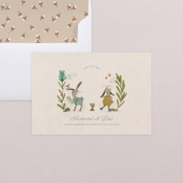 Deux petits lapins