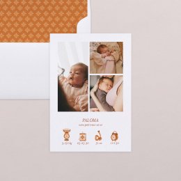 Photomaton-terracota