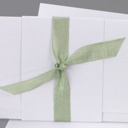 Ruban vintage sauge 60 cm