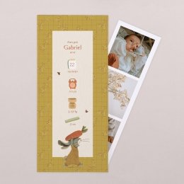 Croque-carotte