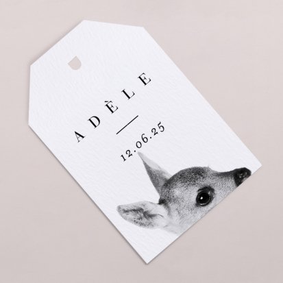 Scandi Fawn