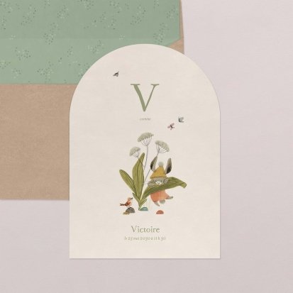 Fleur de sureau