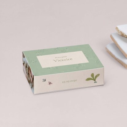 Fleur de sureau