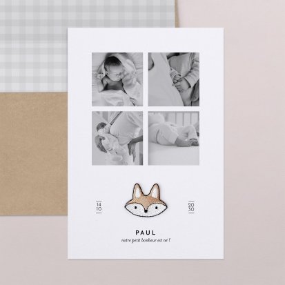 Petit ours brun