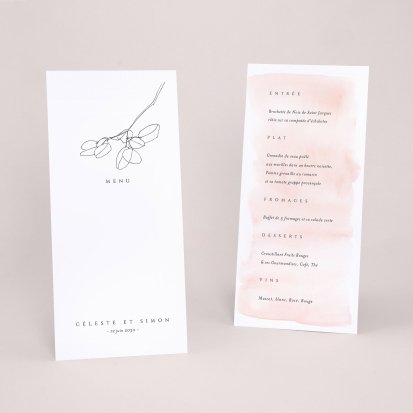 Délicate & Co