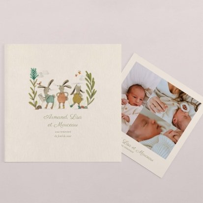 Trois petits lapins