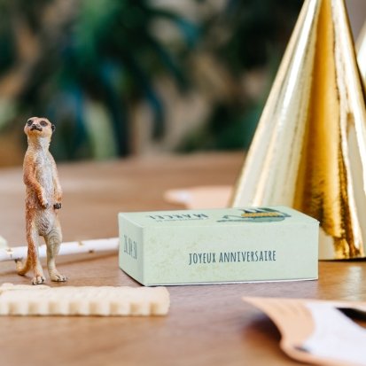 Petit croco