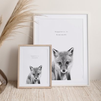 Scandi fox 3