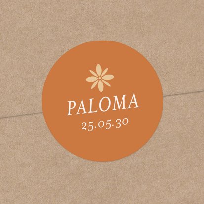 Photomaton-terracotta