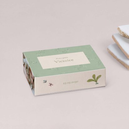 Fleur de sureau
