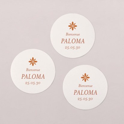 Photomaton-terracota