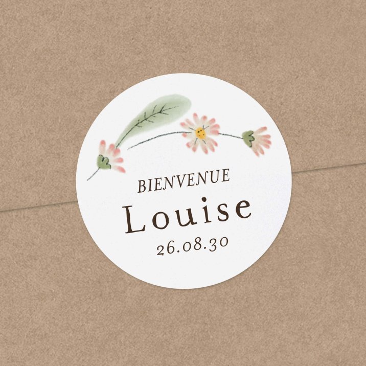Petite paquerette