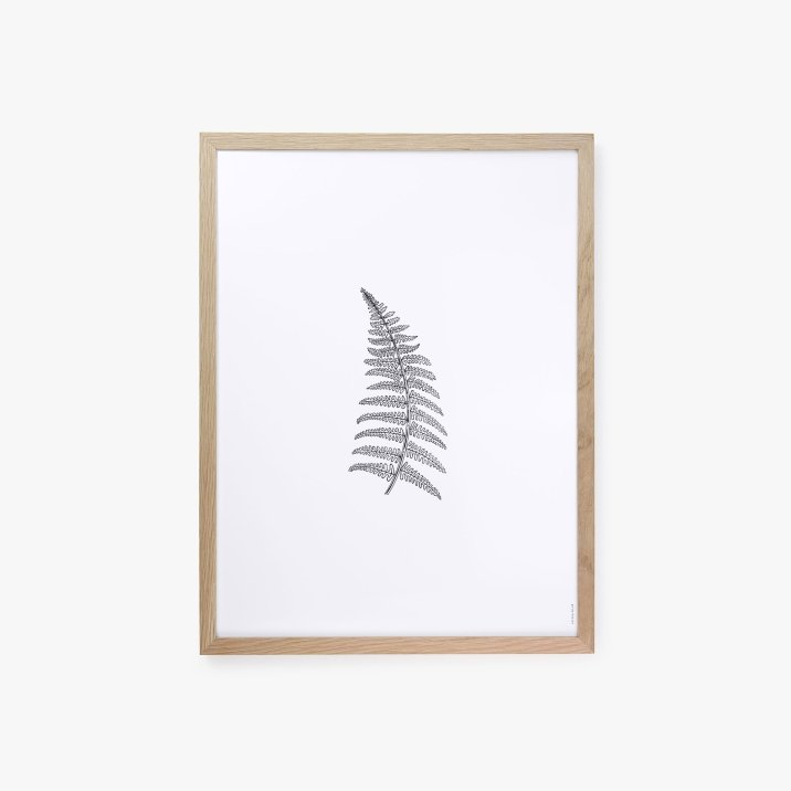 Herbarium White II