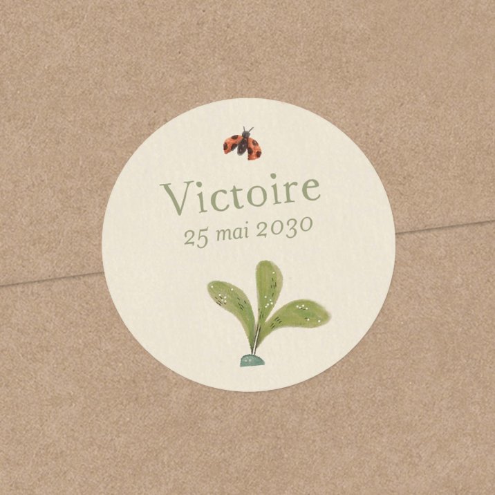 Fleur de sureau