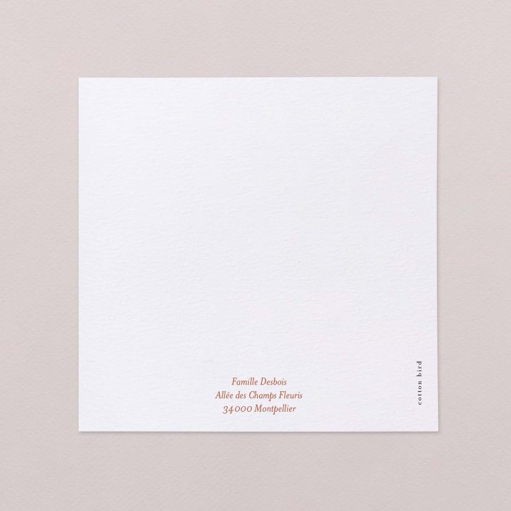 Photomaton-terracotta