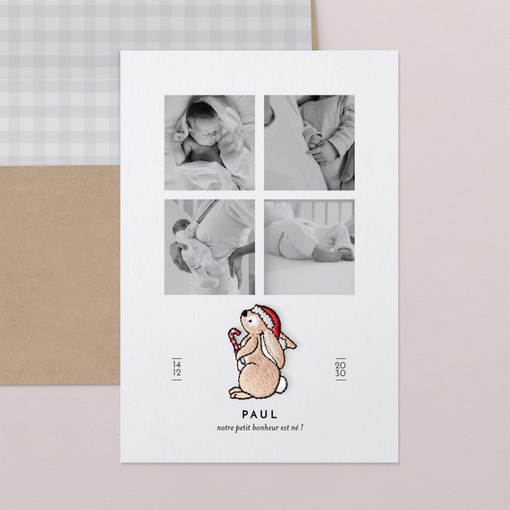 Petit ours brun