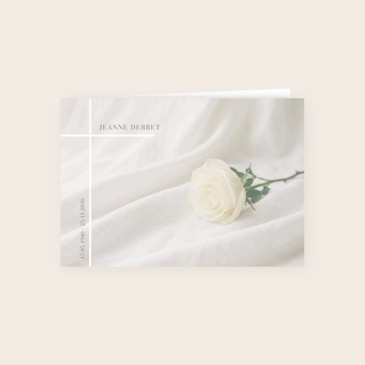 Rose blanche