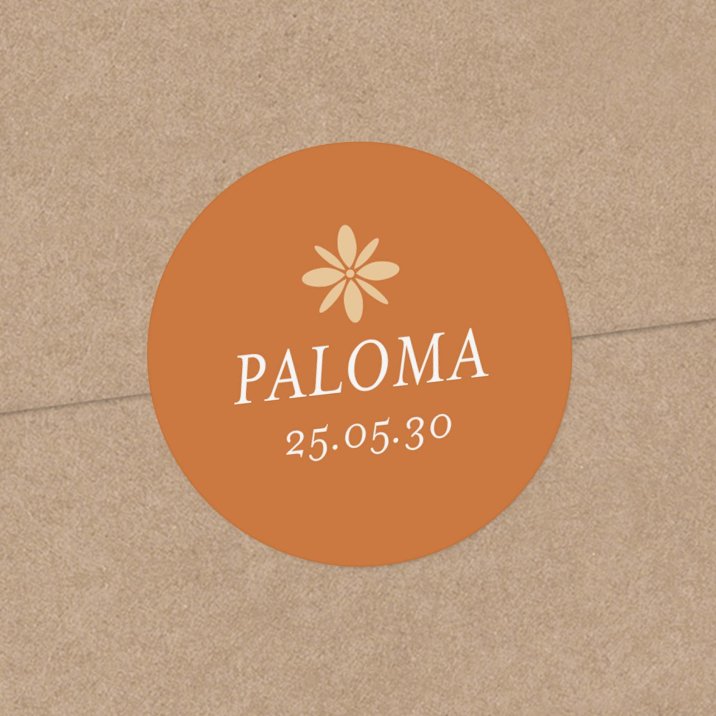 Photomaton-terracota