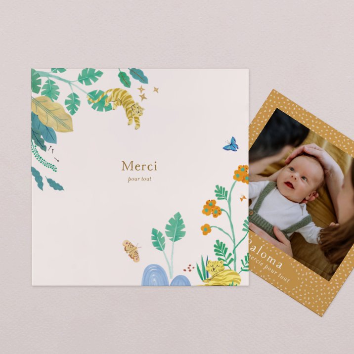 Baboo