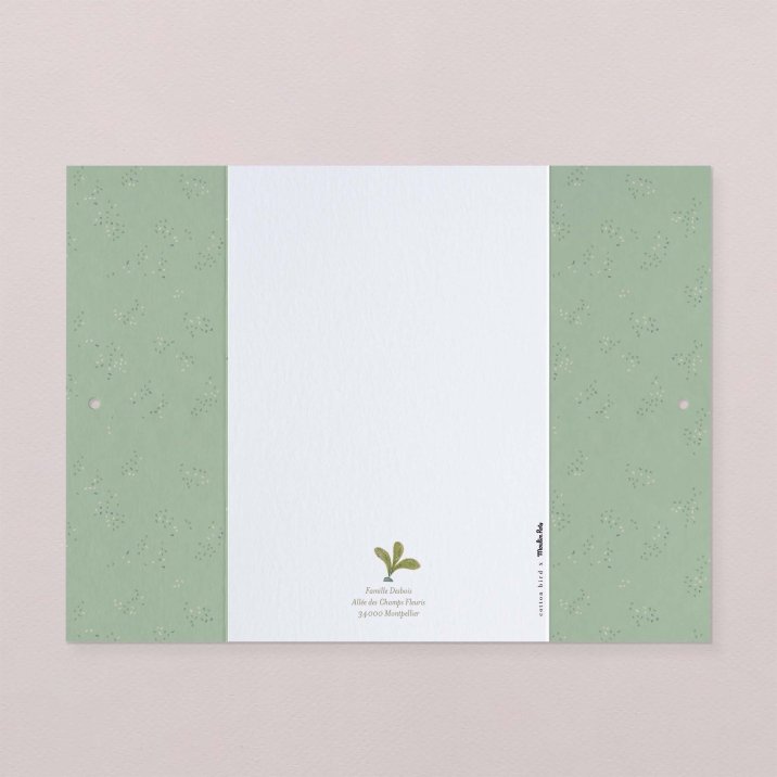 Fleur de sureau