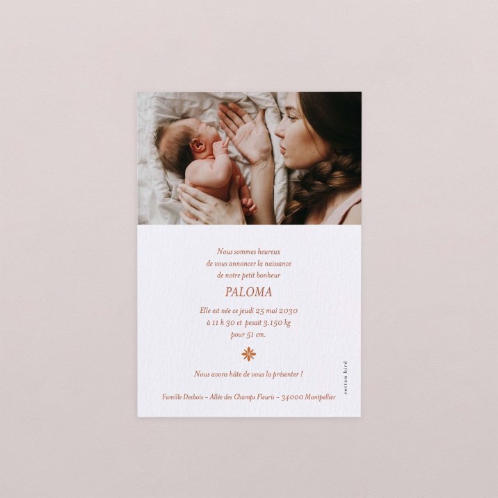 Photomaton-terracotta