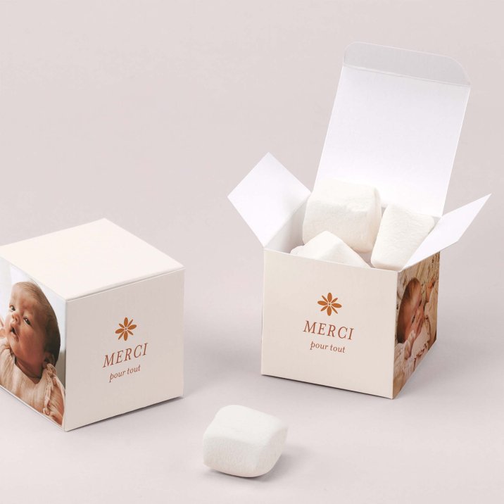 Photomaton-terracotta