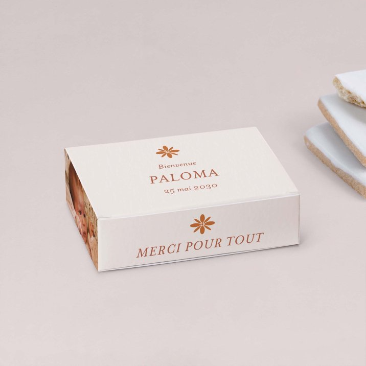 Photomaton-terracotta