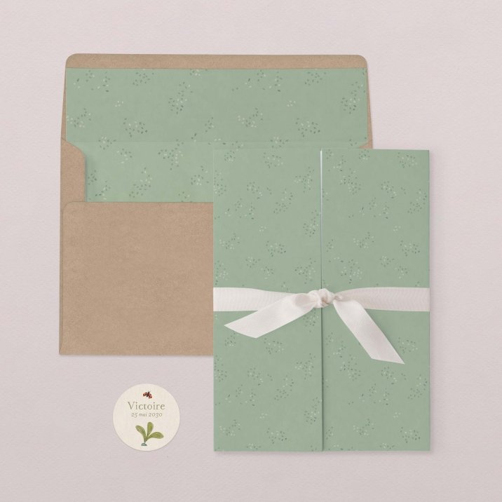 Fleur de sureau