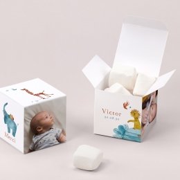 Personnalisé de chêne 5 photo keepsake box cube nouveau né baptême mariage famille 